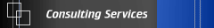 Consulting Services